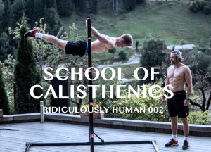 School of Calisthenics - David Jackson and Tim Stevenson